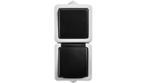 TEKNO Łącznik jednobiegunowy + gniazdo z ochroną styków pionowy śrubowy 10AX/16A 250V szare IP54 25361