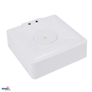 OPRAWA AWARYJNA SKALER KWADRATOWA 3W BEZ SOCZEWKI IP40 AUTOTEST 3H CNBOP