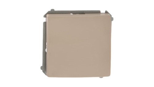 Simon Basic Łącznik jednobiegunowy, szybkozłącza, beżowy BMW1.01/12