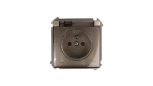 Simon Basic Gniazdo bryzgoszczelne z/u IP44 z klapka dymną satynowe BMGZ1B.01/29a