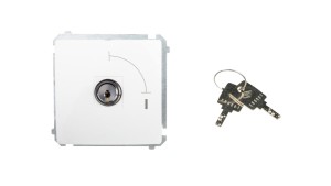 Simon Basic Łącznik jednobiegunowy z kluczem dwupozycyjnym biały BMW1K.01/11