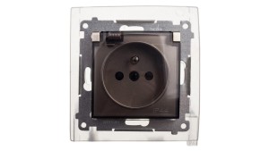 Simon 54 Gniazdo bryzgoszczelne z/u IP44 z klapką transparentną złoty mat DGZ1BZ.01/44A