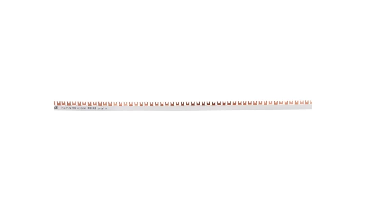 Szyna łączeniowa widełkowa 2P 100A 16mm2 (54mod.) IZ16/2F/54 002921067