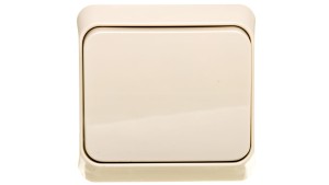 Prima Łącznik 1-biegunowy beżowy IP20 WNt-100P WDE001110