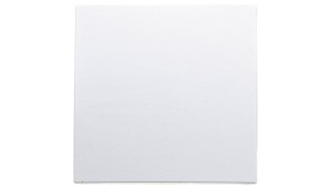 Klawisz 1-biegunowy przycisk 1x biały tworzywo 16201909