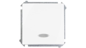 Łącznik jednobiegunowy (moduł) z sygnalizacją załączenia, 10AX, 250V~, szybkozłącza, biały, BMW1ZL.01/11