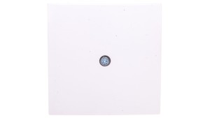 Berker S.1/B.3/B.7 Glas Element centralny do przyłącza kablowego i gniazda VDo biały 10198989