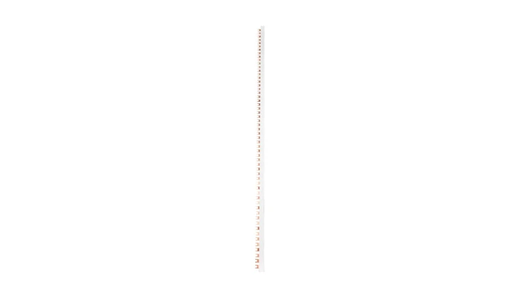 Szyna łączeniowa widełkowa 4P 100A 16mm2 (56 mod.) IZ16/4F/56 002921070