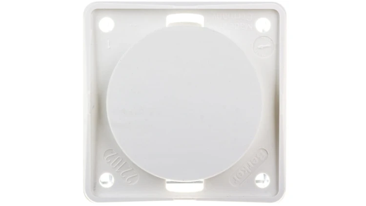 Berker Integro/Flow/Classic/Pure Zaślepka śnieżnobiała 945162509
