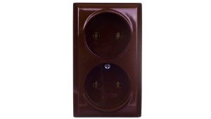 BIS Gniazdo podwójne b/u brązowe GN-2B/24