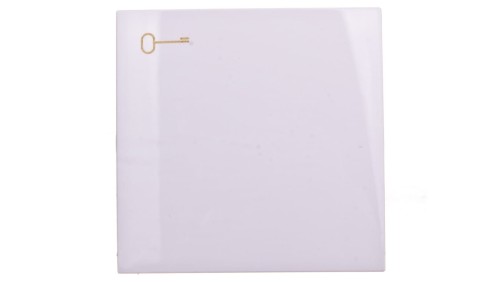 Simon 54 Klawisz pojedynczy z symbolem klucza do łączników/przycisków biały DKWK1/11