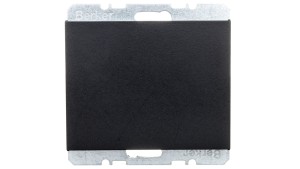 K.1 Zaślepka z elementem centralnym antracyt mat lakierowana 10457006