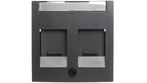 Berker B.1/B.3/B.7 Glas Element centralny podwójny z zasuwami chroniącymi przed kurzem z polem opisowym antracyt 11811606