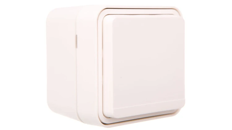 Berker W.1 Gniazdo pojedyncze z/u kompletne IP55 biały 6768813512