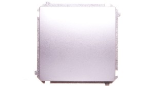 Simon Basic Łącznik jednobiegunowy 10AX 250V, szybkozłącza, srebrny mat BMW1.01/43