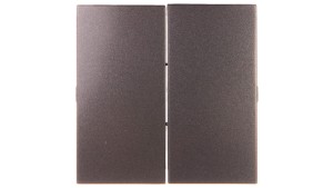 Simon 54 Klawisz podwójny do SW7/2XM i SW6P1M antracyt DKW9/48