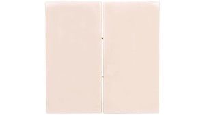 Simon 54 Klawisz do łączników/przycisków podwójnych krem DKW5/41