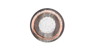 Kabel energetyczny XRUHAKXS 1x70/25 12/20kV /bębnowy/