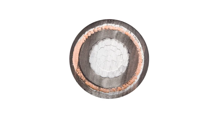 Kabel energetyczny XRUHAKXS 1x70/25 12/20kV /bębnowy/