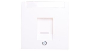 B.Kwadrat/S.1/B.3/B.7 Płytka czołowa pojedyncza z zasuwą chroniącą przed kurzem i polem opisowym, biały 11701909