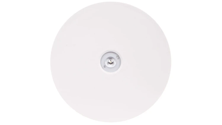 Oprawa awaryjna AXN IP65 ECO LED 1W 125lm (opt. otwarta) 1h jednozadaniowa AT biała AXNO/1W/E/1/SE/AT/WH