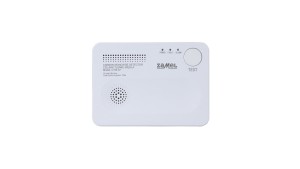 Czujnik tlenku węgla bateryjny CTW-07 GAR10000072