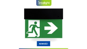 Oprawa ewakuacyjna DIRECTO S M 1H MT BLK + (VD3, VD4, VD5 x 2) / 90681