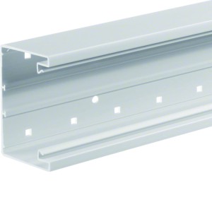 tehalit.BRP Kanał PVC podstawa 65x100, biały BRP6510019016 /2m