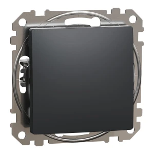 Schneider Electric, Sedna Design i Elements, Łącznik 1-biegunowy, czarny antracyt, SDD114101