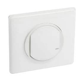 LEGRAND 067723.jpg