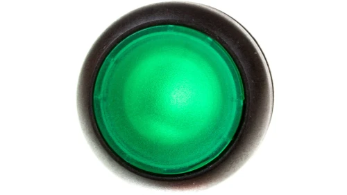 Napęd przycisku zielony z podświetleniem bez samopowrotu M22S-DRL-G 216949 /5szt./