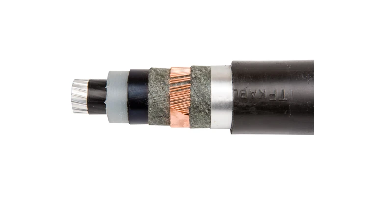 Kabel energetyczny XRUHAKXS1 1x70/25 RMC 12/20kV /bębnowy/